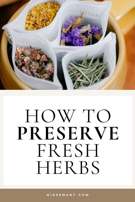 Learn how to store and preserve fresh herbs like basil, rosemary, and cilantro for maximum freshness. Discover foolproof ways to keep herbs fresh for up to 2 weeks!