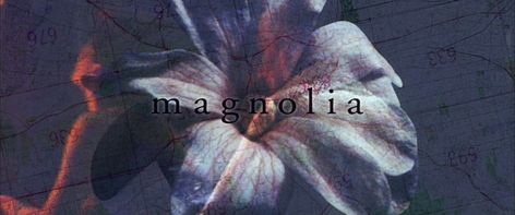 Movie Title Card, Magnolia 1999, Magnolia Movie, Title Card, Pipe Cleaner, Cinematography, Magnolia, Behind The Scenes, Film