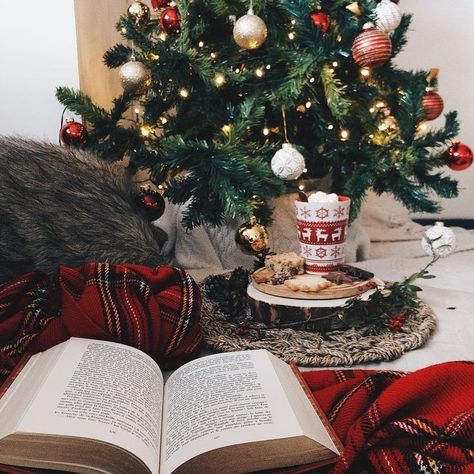 Christmas Bookshelf, Christmas Reading, Cosy Christmas, Christmas Feeling, Warm Christmas, Christmas Wonderland, Christmas Mood, Merry Little Christmas, Christmas Books