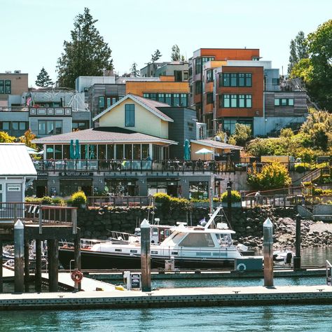 Some looks at our Friday Harbor cruises this year, off to a beautiful start. Three hours on shore, giving you the perfect amount of time to explore the shops and sights of quaint Friday Harbor, Washington, with a gorgeous island cruise to and from Bellingham. $69, 10a-5p, Friday-Sunday, adding Mondays in July & Aug. Book yours before they're all full. https://whales.com/cruises/cruises-from-bellingham/friday-harbor-cruise/ Friday Harbor Washington, Friday Harbor, Whales, Cruises, This Year, Washington, Quick Saves, San Juan