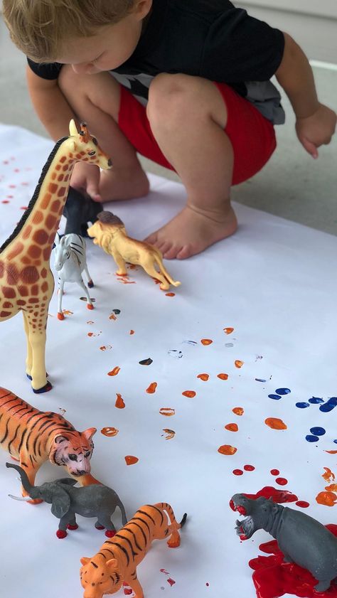 Baby Animals Activities For Toddlers, Preschool Wild Animals Theme Activities, Tame Animals Activities For Toddler, Wild Animal Crafts, Preschool Animals, Animal Activities Eyfs, Nature Week Activities For Babies, Forest Animal Art For Toddlers, Infant Animal Activities