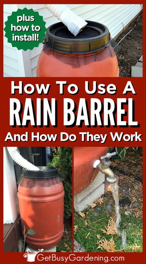 a rain barrel under a gutter spout Water Barrel Ideas Rainwater Harvesting, Rain Barrels Ideas Beautiful, Make A Rain Barrel, Rain Barrel System, Barrels Diy, Rainwater Collection, Water Barrel, Rain Barrels, Greenhouse Design