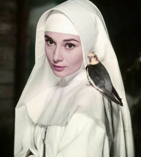 The Nun's Story The Nun's Story, Nun Outfit, Cute Photoshoot, Aubrey Hepburn, Belgian Congo, The Nun, Angel Artwork, Classic Actresses, Bible Verses Quotes Inspirational