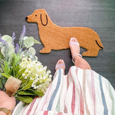 Shop this Instagram.self from @linenchest Dog Treat Packaging, Linen Chest, Paws And Claws, Funny Dachshund, Weenie Dogs, Mini Dachshund, Veterinary Clinic, Dachshund Lovers, Dog Decor