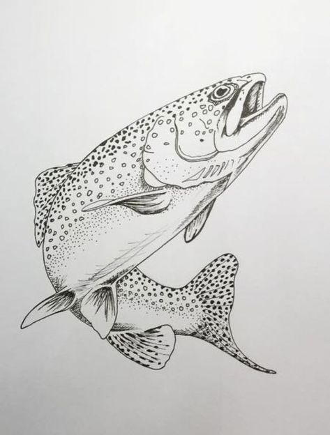 Salmon Drawing, Trout Tattoo, Fly Drawing, Trout Art, Tupac Art, Fly Fishing Art, Stippling Art, Fish Artwork, Animal Illustration Art