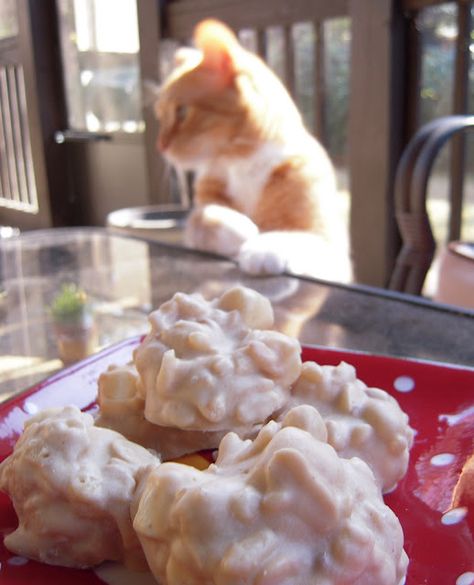 Grandma used to make these, my favorite Peanut Butter Krispies, White Chocolate Peanut Butter, Gf Sweets, Candy Ideas, Table Counter, Cereal Treats, Plain Chicken, Rice Crispy Treats, Bake Cookies