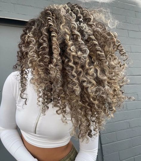 33 Best Blonde Balayage On Dark Curly Hair Ideas Balayage On Dark Curly Hair, Ash Blonde Highlights On Dark Hair, Curly Balayage, Curly Balayage Hair, Crazy Curly Hair, Blonde Highlights Curly Hair, Ashy Balayage, Baylage Hair, Curly Hair Ideas