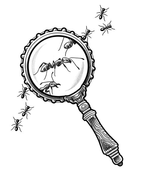 ✨Inktober Day 2: DISCOVER✨ I really wanted to draw a magnifying glass for some reason, but it took me a couple drawings to figure out what I wanted to be magnifying in the first place. But the reason I chose ants? To be honest, I have no idea.🐜 I would be surprised if anyone wanted this flash, but I would still love to do it! Send me an email (link in bio) if you would like to claim this piece. ♥️✨ • • • #inktober #inktober2024 #inktober24 #cultivateinktober #inktoberdiscover #discoverinktob... Discover Inktober, Magnifying Glass Tattoo, Magnifying Glass Drawing, Magnifying Glass Illustration, 2025 Board, To Be Honest, Couple Drawings, First Place, Magnifying Glass