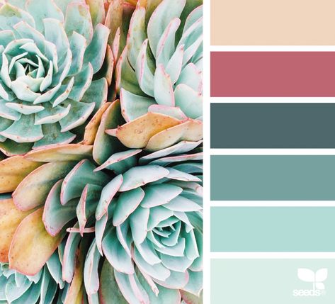 Succulent Hues Design Seeds Color Palette, Seeds Color Palette, Seeds Color, Colour Swatches, Color Concept, Palette Design, Wedding Palette, Succulent Wedding, Design Seeds