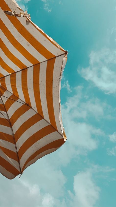 Summer Shoot, Color Aesthetic, Product Shots, Grand Hyatt, 背景 シンプル, Summer Wallpaper, Summer Feeling, Screen Wallpaper, Beach Vibe