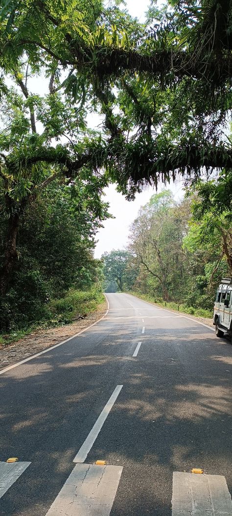 Road background Road Trip Aesthetic, Road Background, Trees Background, Trip Aesthetic, Natural Scenery, Background Images, Road Trip, Trees, Road