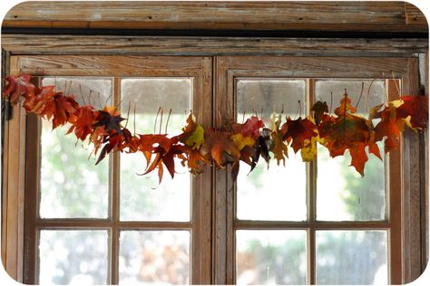 Our fall beeswax fun Beeswax Birthday Candles, Autumn Leaves Art, Fall Leaf Garland, Fall Garland, 2nd Year, Autumn Crafts, Fall Leaf, Leaf Garland, Fall Decor Diy