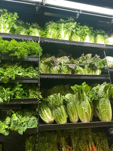 Green plants vegetables leafy greens grocery store nutrition aesthetic Greens Superfood, Green Diet Aesthetic, Green Grocery Aesthetic, Green Veggies Aesthetic, Greens Juice Aesthetic, All Carb Diet, Regina George, No Carb Diets, Healthy Body