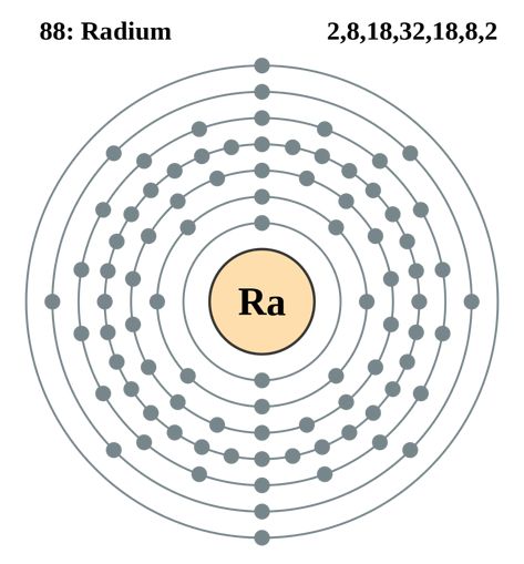 File:Electron shell 088 Radium.svg - Wikimedia Commons Atom Diagram, Electron Affinity, Biochemical Engineering, Element Chemistry, Electron Transport Chain, Radium Girls, Ap Chemistry, Chemistry Education, Electron Configuration