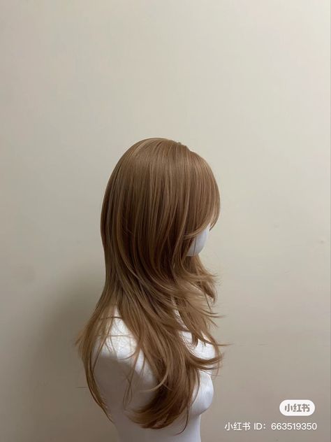 Hush Cut, Hair Stages, Pretty Hair Cuts, Korean Hair Color, Hair Inspiration Long, Hair Color Streaks, Dyed Hair Inspiration, Hairstyles For Layered Hair, Hair Tips Video