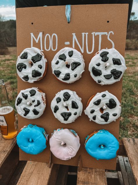 Farming Gender Reveal Ideas, Cow Gender Reveal Cake, Western Gender Reveal Cookies, Farm Themed Gender Reveal Ideas, Gender Reveal Ideas Cow Theme, Cow Print Gender Reveal, Highland Cow Gender Reveal Ideas, Cow Theme Gender Reveal, Cow Gender Reveal