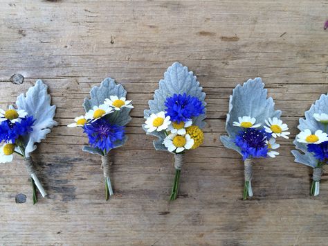 Boutonnières for August wedding. Bachelor button, feverfew, craspedia. Www.asterb.com Cornflower Boutonniere, Cornflower Wedding, August Flowers, Bachelor Buttons, August Wedding, Dusty Miller, Wedding Arrangements, Theme Ideas, Flower Farm