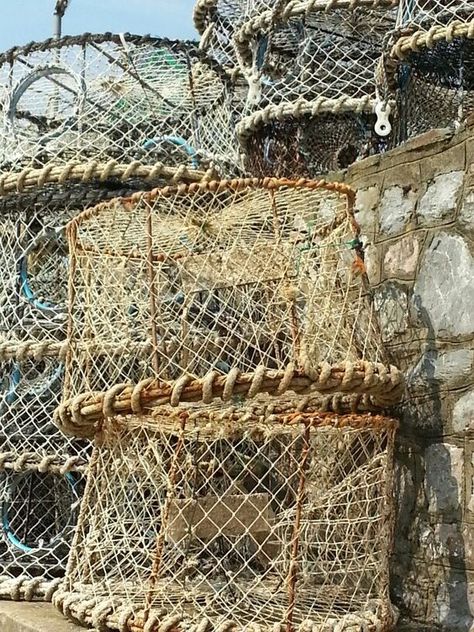 Lobster Pots. I am making a light shade out of a Crab Net...: Lobster Fisherman, Crab Net, Crab Pot, Fish Nets, Lobster Trap, Fish Net, Mesa Exterior, Fishing Nets, Fishing Net