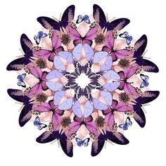 purple butterflies mandala Christopher Marley, Insect Taxidermy, Art Alevel, Butterfly Mandala, Taxidermy Art, Kaleidoscopes, Beautiful Bugs, Insect Art, Purple Butterfly