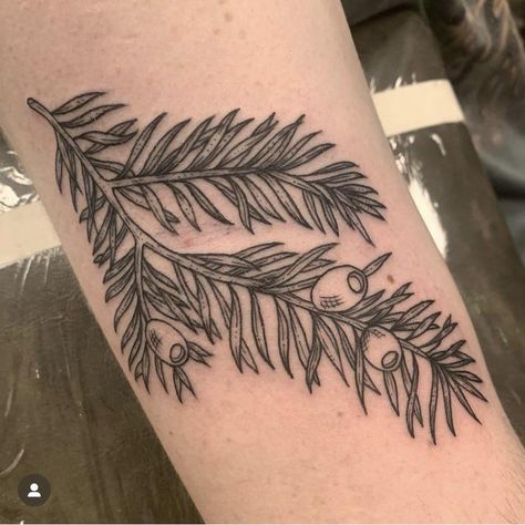 Yew Tree Tattoo, Yew Tattoo, Madison Davenport, Yew Tree, Handsome Devil, Tattoo Skin, Tree Tattoo Designs, Botanical Tattoo, Tree Tattoo