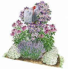 Flower Mailbox Ideas, Plants Around Mailbox Ideas, Garden Around Mailbox Ideas, Landscaping Around Mailbox, Mailbox Garden Ideas, Mailbox Flower Bed Ideas Full Sun, Mailbox Landscape, Mailbox Planting Ideas, Clematis Mailbox Ideas