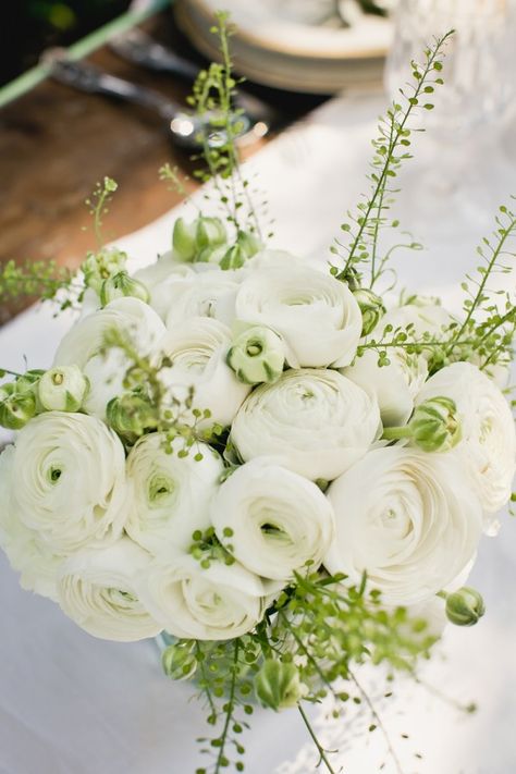 White-Ranunculus-Centerpiece Ranunculus Centerpiece, Ranunculus Wedding Bouquet, Ranunculus Arrangement, Ranunculus Wedding, Olive Branch Wedding, Backyard Flowers Garden, Orange Ranunculus, Ranunculus Bouquet, Olive Green Weddings