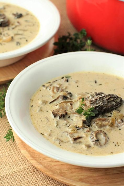 Morel Mushroom Soup Recipes, Morel Mushroom Soup, Vegan Morel Mushroom Recipes, Recipes For Morel Mushrooms, Stuffed Morel Mushrooms, Morels Mushrooms Recipes, Morrell Mushroom Recipes, Morel Soup, Cooking Morel Mushrooms