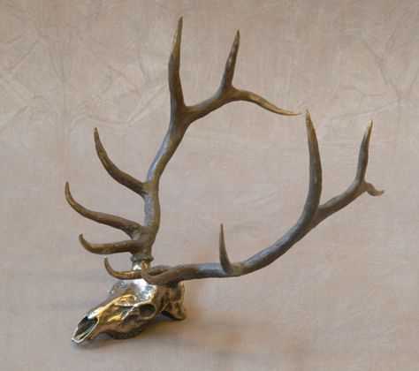 Gratitude Tattoo, Life Size Sculpture, Elk Skull, Deer Skull Art, Santa Fe Art, Durango Colorado, Deer Skull, Sculpture Garden, Deer Skulls