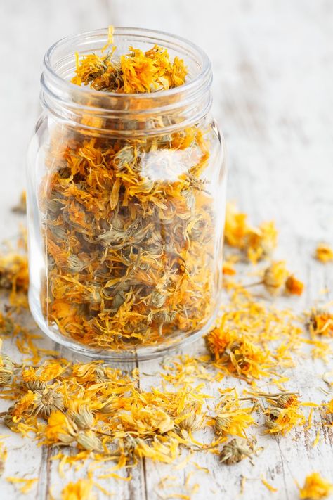 Mother Earth Living, Calendula Flower, Herbal Apothecary, Marigold Flower, Flower Care, Chamomile Flowers, Clean Ingredients, Medicinal Herbs, Medicinal Plants