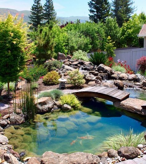 Diy Japanese Garden, Koi Pond Design, Taman Air, Building A Pond, Pond Garden, Garden Pond Design, Concrete Patios, Koi Ponds, Fountains Backyard