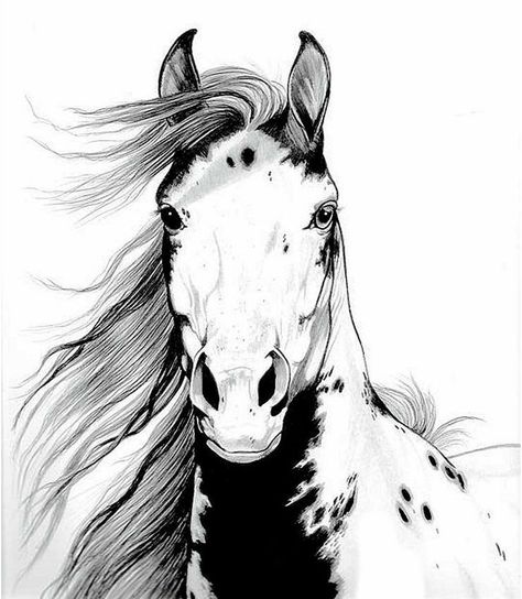 Artworks Ideas, Horse Pencil Drawing, Horse Head Drawing, Unicorn Tattoo, Horse Tattoo Design, Horse Art Drawing, Indian Horses, Head Drawing, Horse Sketch