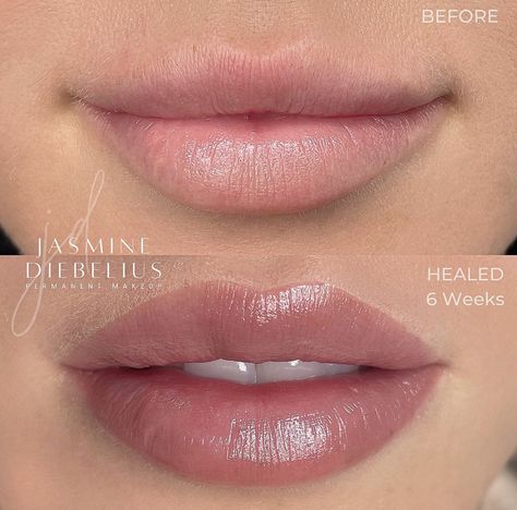 Lip Color Tattoo, Lip Permanent Makeup, Lips Inspiration, Permanent Makeup Eyeliner, Permanente Make-up, Botox Lips, Permanent Lipstick, Permanent Eyeliner, Permanent Cosmetics