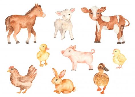 Cute farm animals watercolor Premium Vec... | Premium Vector #Freepik #vector #watercolor #baby #animal #farm Cute Farm Animals, Animals Watercolor, Farm Party, Cartoon Images, Animal Clipart, Kit Digital, Watercolor Animals, Farm Animal, Cartoon Illustration