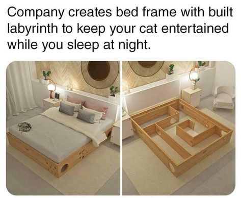 Labyrinth, Cat Memes, Bed Frame, Storage Bench, Toddler Bed, Dream House, Sleep, Room Decor, House Design