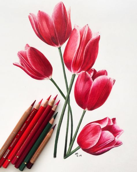 Pencil Colour Drawing Flower, Colored Pencil Drawing Tutorial, Pencil Drawings Of Flowers, Color Pencil Sketch, Prismacolor Art, Pencil Drawing Tutorials, Colored Pencil Artwork, Flower Art Drawing, Colored Pencil Drawing