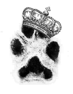 Crown + your princess' paw print.  What do you think? Cat Paw Print Tattoo, Dog Paw Tattoo, Paw Tattoo, Pet Paw Print, Pet Remembrance, Cat Paw Print, Crown Tattoo, Pet Sympathy, Pet Loss Gifts