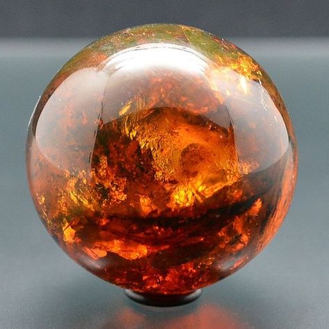 Amber Fossils, Pretty Rocks, Beautiful Rocks, Mineral Stone, Minerals And Gemstones, Rocks And Gems, 판타지 아트, Crystal Sphere, Gems And Minerals