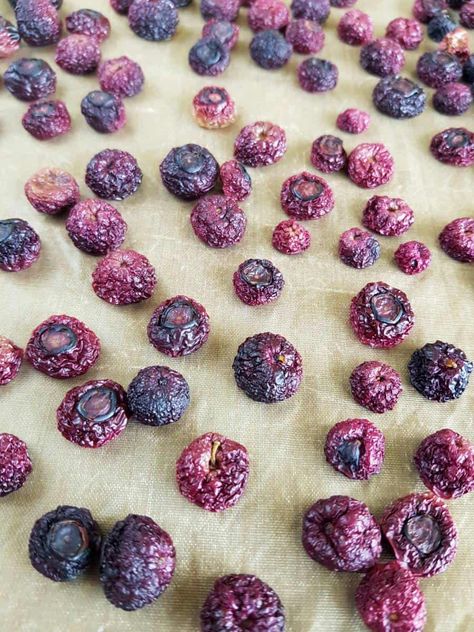 Dehydrating Blueberries, Healthy Blueberry Recipes, Storing Food Long Term, Blueberry Snacks, Healthy Fruit Snacks, Sugar Free Snacks, Blueberry Banana Bread, Banana Smoothie Bowl, Healthy Party Food