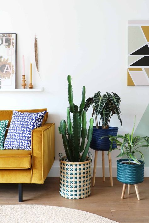 yellow velvet sofa in living room Jungle Cactus, Yellow Couch, Yellow Sofa, Too Hot To Handle, Yellow Living Room, Deco Retro, Hygge Home, Living Room Accents, Urban Jungle