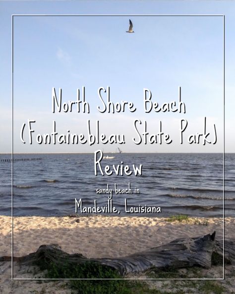 North Shore Beach (Fontainebleau State Park) is an amazing sandy beach in Mandeville, Louisiana. Click the image to read the beach description, view photos, videos, read real reviews and view map location. #NorthShoreBeach #FontainebleauStatePark #LouisianaBeaches #Mandeville #Louisiana #travel #USAbeaches #GulfCoast #Beach #BeachVacation #BeachTrip #Vacation Mandeville Louisiana, Louisiana Beaches, Usa Beaches, American Road Trip, North Shore, Park City, View Photos, Beach Trip, Louisiana