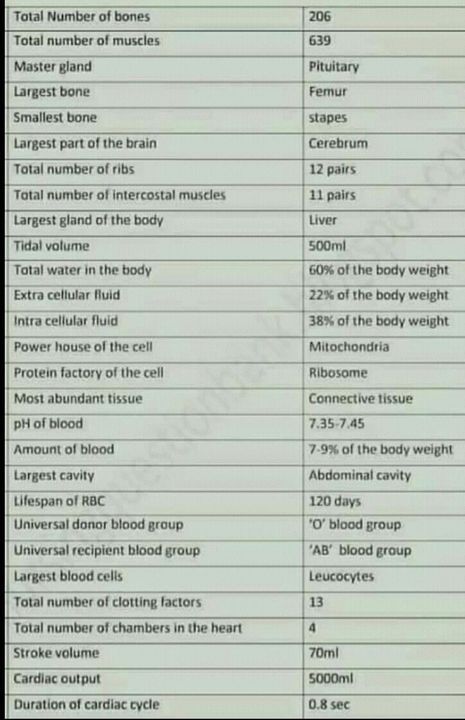 Writing Prompts, World Building Tips And Character Sheets - Medical terms and facts about the body - 1 - Wattpad Human Body Numbers, Medical Facts Medicine, Human Body Anatomy Medical Facts, Human Body Facts Science, Body Knowledge, Emt Study, Medical Terminology Study, Learn Biology, Medical Assistant Student