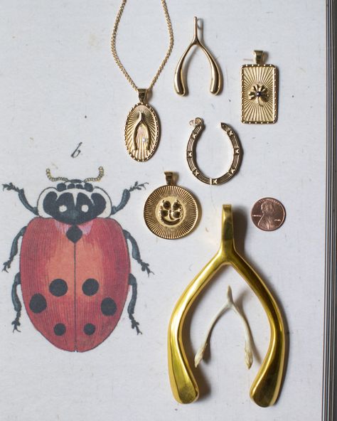 Lucky Charm Jewelry, Wishbone Aesthetic, Lucky Charms Aesthetic, Luck Aesthetic, Make Your Own Luck, Stay Gold Ponyboy, Vintage Coins, Horseshoe Jewelry, Good Luck Charms