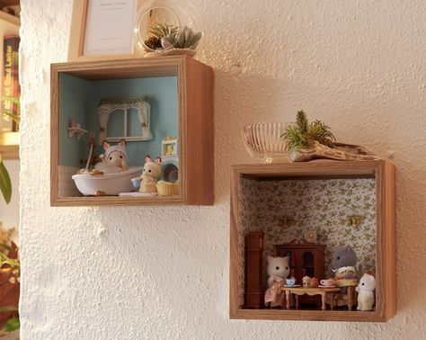 Family Box, Calico Critters Families, Box Shelf, Sylvanian Family, Set It Up, Box Shelves, Family Diy, Family Decor, Calico Critters