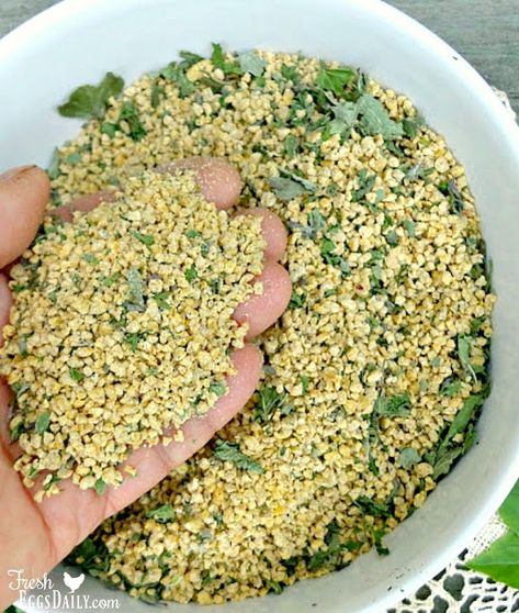 Chicken Feed Recipe, Chicken Feed Diy, Organic Chicken Feed, Herbs For Chickens, Chicken Feeders, Backyard Chicken Farming, Chicken Treats, Raising Backyard Chickens, Chicken Garden