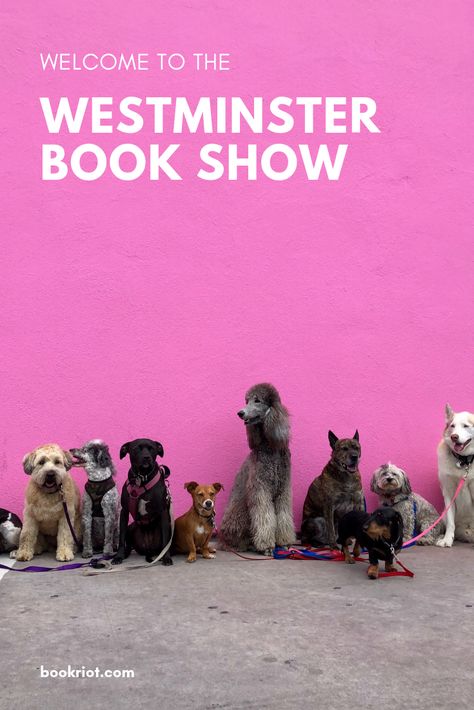 The famous dog show, but re-imagined with books. Welcome to the Westminster Book Show!   humor | book humor | dog show humor Dog Bark, Red Dog Collar, Dog Minding, Pack Leader, Slow Feeder, Dog Training Techniques, Dog Obedience, Dog Training Obedience, Obedience Training