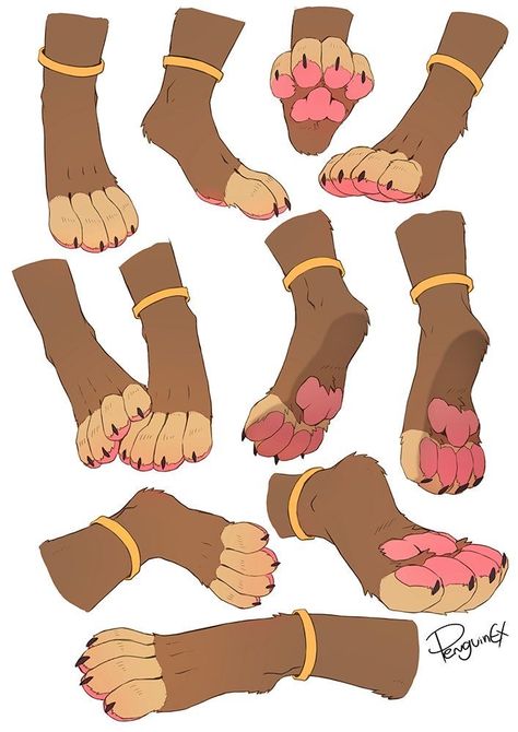 Paw Drawing, Feet Drawing, Drawing Expressions, Poses References, Anatomy Reference, Animal Sketches, Art Poses, Art Tutorials Drawing, Drawing Base