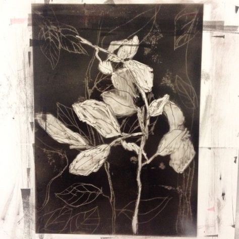 heraldBLACK Flower Monoprint, Monoprint Flowers, Reductive Monotype, Reductive Printmaking, Reductive Drawing, Botanical Monoprints, Monoprint Artists, Monoprint Art, Long Painting