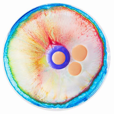 Bacteria Art, Record Logo, Klari Reis, Petri Dish Art, Folio Ideas, Dish Art, Growth And Decay, Petri Dishes, Microscopic Images