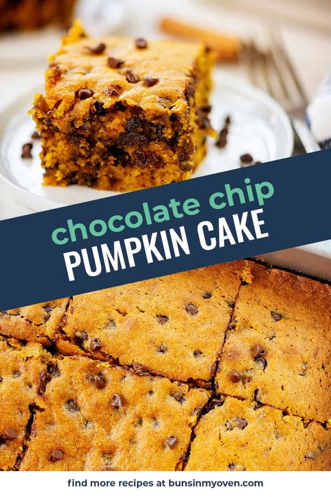 This Pumpkin Chocolate Chip Cake is perfectly spiced with our favorite Fall flavors, loaded with mini chocolate chips, and bakes up so easily. Perfect for a sweet treat to share with friends and family this autumn! Pumpkin Snack Cake, Pumpkin Chocolate Chip Cake, Cake With Chocolate Chips, Chocolate Chip Cake Recipe, Pumpkin Snack, Buns In My Oven, Pumpkin Crunch Cake, Pumpkin Crunch, Pumpkin Recipes Easy