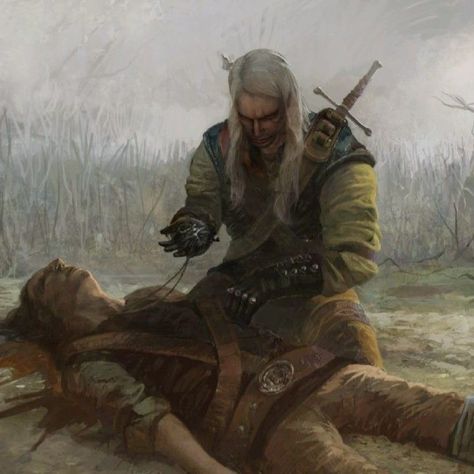 Book Geralt, Geralt Art, Geralt Of Rivia Witcher 3, Witcher 3 Art, Vernon Roche, Serial Art, The Witcher 1, Witcher Series, The Witcher Wild Hunt